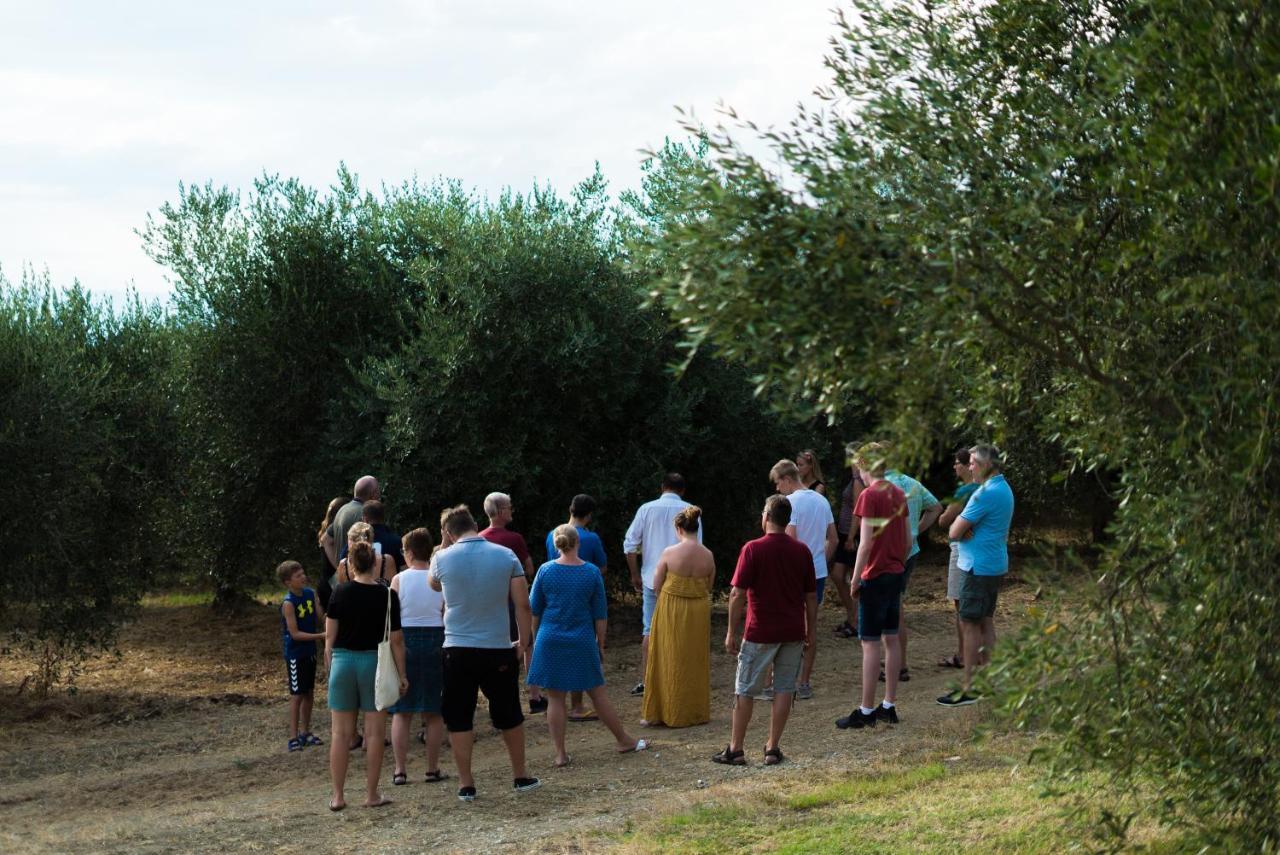 Agriturismo Streda Wine & Country Holiday Vinci Dış mekan fotoğraf